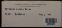 Physarum nutans image